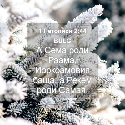 Picture 04 - 1 Летописи 2:44 BULG - А Сема роди Раама, - Bible Verse Picture