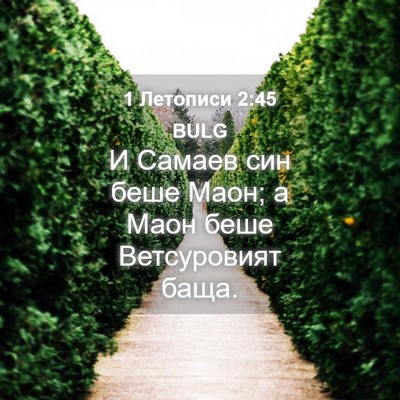 Picture 04 - 1 Летописи 2:45 BULG - И Самаев син беше Маон; а - Bible Verse Picture