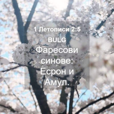 Picture 04 - 1 Летописи 2:5 BULG - Фаресови синове: Есрон и - Bible Verse Picture