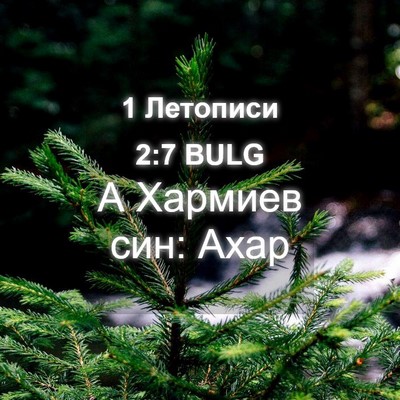 Picture 04 - 1 Летописи 2:7 BULG - А Хармиев син: - Bible Verse Picture