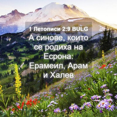 Picture 04 - 1 Летописи 2:9 BULG - А синове, които се родиха - Bible Verse Picture