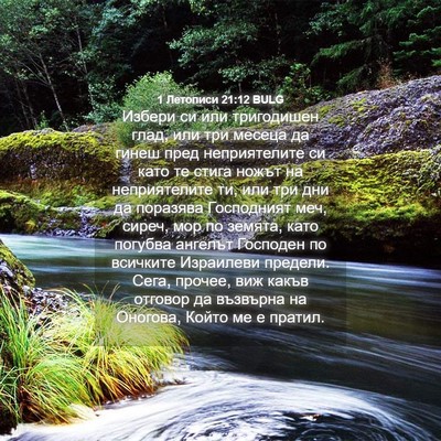 Picture 04 - 1 Летописи 21:12 BULG - Избери си или тригодишен - Bible Verse Picture