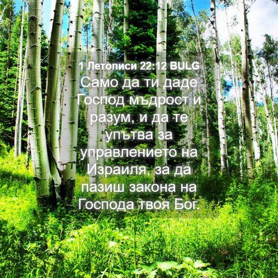 Picture 04 - 1 Летописи 22:12 BULG - Само да ти даде Господ - Bible Verse Picture