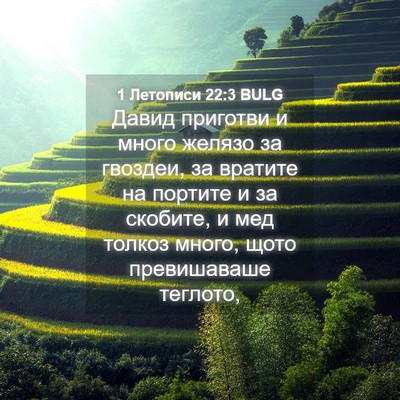 Picture 04 - 1 Летописи 22:3 BULG - Давид приготви и много - Bible Verse Picture