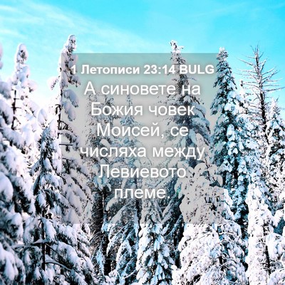Picture 04 - 1 Летописи 23:14 BULG - А синовете на Божия човек - Bible Verse Picture