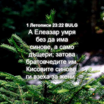Picture 04 - 1 Летописи 23:22 BULG - А Елеазар умря без да има - Bible Verse Picture