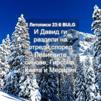 Picture 04 - 1 Летописи 23:6 BULG - И Давид ги раздели на - Bible Verse Picture