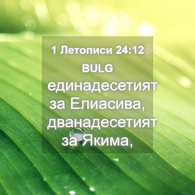 Picture 04 - 1 Летописи 24:12 BULG - единадесетият за Елиасива, - Bible Verse Picture
