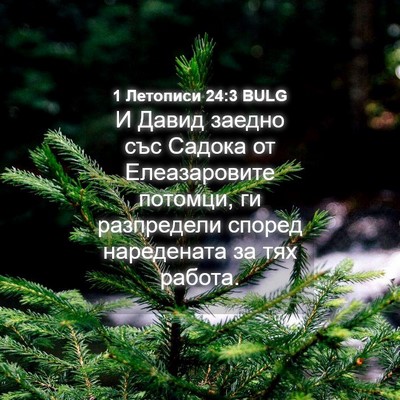 Picture 04 - 1 Летописи 24:3 BULG - И Давид заедно със Садока - Bible Verse Picture