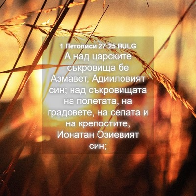Picture 04 - 1 Летописи 27:25 BULG - А над царските съкровища - Bible Verse Picture