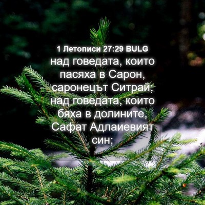 Picture 04 - 1 Летописи 27:29 BULG - над говедата, които пасяха - Bible Verse Picture