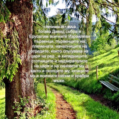 Picture 04 - 1 Летописи 28:1 BULG - Тогава Давид събра в - Bible Verse Picture