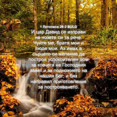 Picture 04 - 1 Летописи 28:2 BULG - И цар Давид се изправи на - Bible Verse Picture