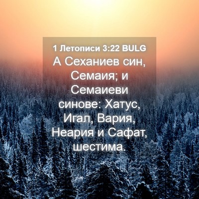 Picture 04 - 1 Летописи 3:22 BULG - А Сеханиев син, Семаия; и - Bible Verse Picture