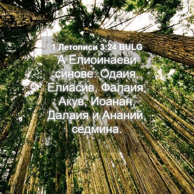Picture 04 - 1 Летописи 3:24 BULG - А Елиоинаеви синове: Одаия, - Bible Verse Picture