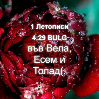 Picture 04 - 1 Летописи 4:29 BULG - във Вела, Есем и - Bible Verse Picture