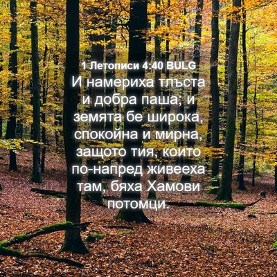 Picture 04 - 1 Летописи 4:40 BULG - И намериха тлъста и добра - Bible Verse Picture