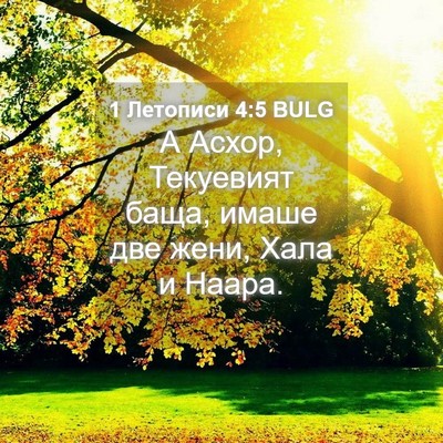 Picture 04 - 1 Летописи 4:5 BULG - А Асхор, Текуевият баща, - Bible Verse Picture