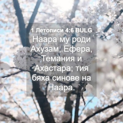 Picture 04 - 1 Летописи 4:6 BULG - Наара му роди Ахузам, - Bible Verse Picture