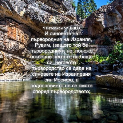 Picture 04 - 1 Летописи 5:1 BULG - И синовете на първородния - Bible Verse Picture