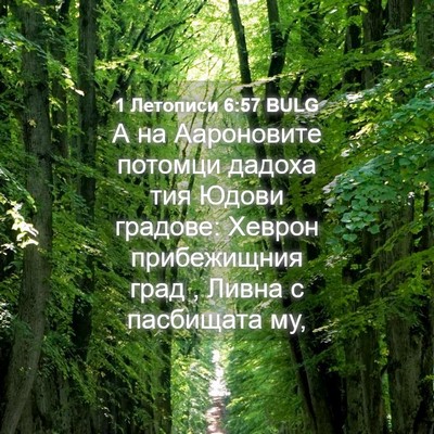 Picture 04 - 1 Летописи 6:57 BULG - А на Аароновите потомци - Bible Verse Picture