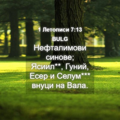 Picture 04 - 1 Летописи 7:13 BULG - Нефталимови синове; - Bible Verse Picture