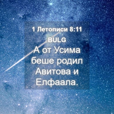 Picture 04 - 1 Летописи 8:11 BULG - А от Усима беше родил - Bible Verse Picture