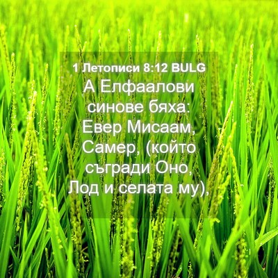 Picture 04 - 1 Летописи 8:12 BULG - А Елфаалови синове бяха: - Bible Verse Picture