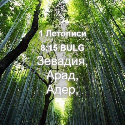 Picture 04 - 1 Летописи 8:15 BULG - Зевадия, Арад, - Bible Verse Picture