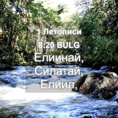 Picture 04 - 1 Летописи 8:20 BULG - Елиинай, Силатай, - Bible Verse Picture
