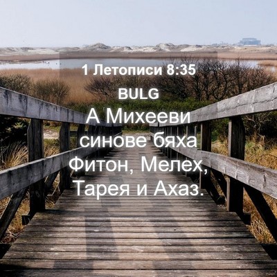 Picture 04 - 1 Летописи 8:35 BULG - А Михееви синове бяха - Bible Verse Picture
