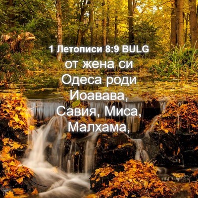 Picture 04 - 1 Летописи 8:9 BULG - от жена си Одеса роди - Bible Verse Picture