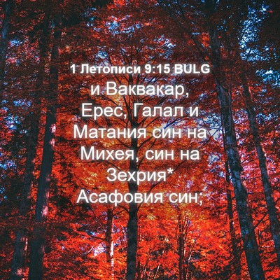 Picture 04 - 1 Летописи 9:15 BULG - и Ваквакар, Ерес, Галал и - Bible Verse Picture