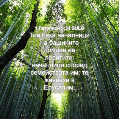 Picture 04 - 1 Летописи 9:34 BULG - Тия бяха началници на - Bible Verse Picture