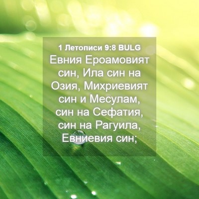 Picture 04 - 1 Летописи 9:8 BULG - Евния Ероамовият син, Ила - Bible Verse Picture