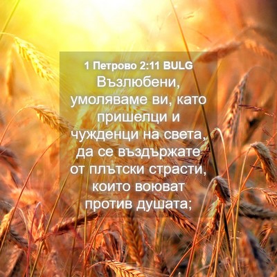 Picture 04 - 1 Петрово 2:11 BULG - Възлюбени, умоляваме ви, - Bible Verse Picture
