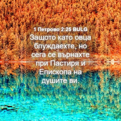Picture 04 - 1 Петрово 2:25 BULG - Защото като овца - Bible Verse Picture