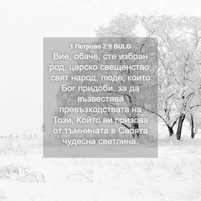 Picture 04 - 1 Петрово 2:9 BULG - Вие, обаче, сте избран род, - Bible Verse Picture