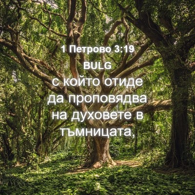 Picture 04 - 1 Петрово 3:19 BULG - с който отиде да - Bible Verse Picture