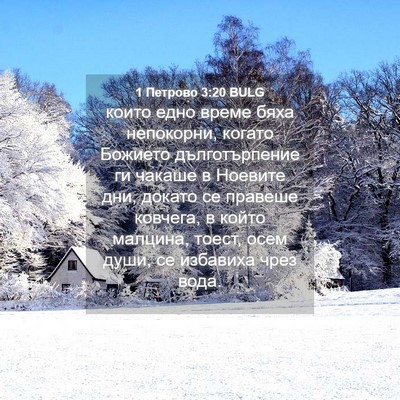 Picture 04 - 1 Петрово 3:20 BULG - които едно време бяха - Bible Verse Picture