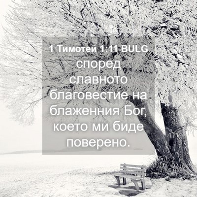 Picture 04 - 1 Тимотей 1:11 BULG - според славното - Bible Verse Picture