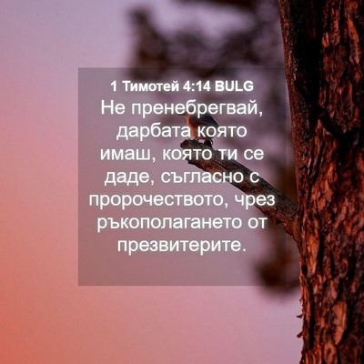 Picture 04 - 1 Тимотей 4:14 BULG - Не пренебрегвай, дарбата - Bible Verse Picture