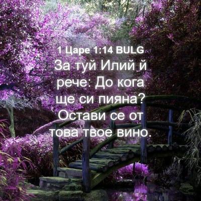 Picture 04 - 1 Царе 1:14 BULG - За туй Илий й рече: До кога - Bible Verse Picture