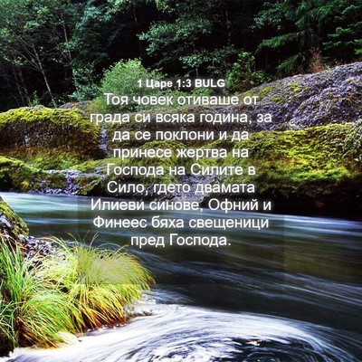 Picture 04 - 1 Царе 1:3 BULG - Тоя човек отиваше от града - Bible Verse Picture