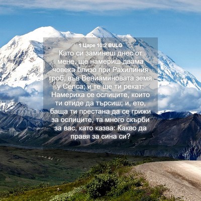 Picture 04 - 1 Царе 10:2 BULG - Като си заминеш днес от - Bible Verse Picture