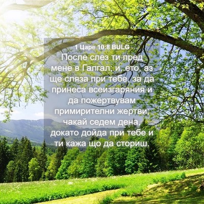 Picture 04 - 1 Царе 10:8 BULG - После слез ти пред мене в - Bible Verse Picture