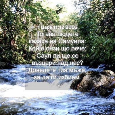 Picture 04 - 1 Царе 11:12 BULG - Тогава людете казаха на - Bible Verse Picture