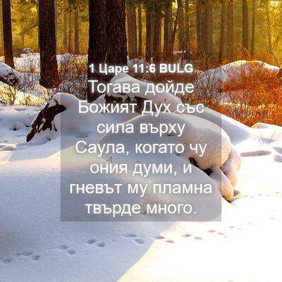 Picture 04 - 1 Царе 11:6 BULG - Тогава дойде Божият Дух - Bible Verse Picture