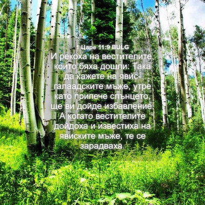 Picture 04 - 1 Царе 11:9 BULG - И рекоха на вестителите, - Bible Verse Picture