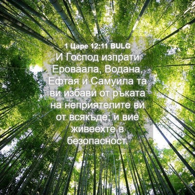 Picture 04 - 1 Царе 12:11 BULG - И Господ изпрати Ероваала, - Bible Verse Picture